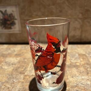 Cardinal Design Glass Tumbler
